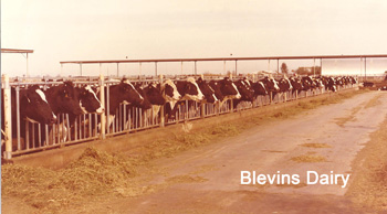 Blevins Dairy